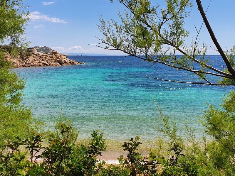 Viaggio in Corsica con World Face - il giro completo dell isola